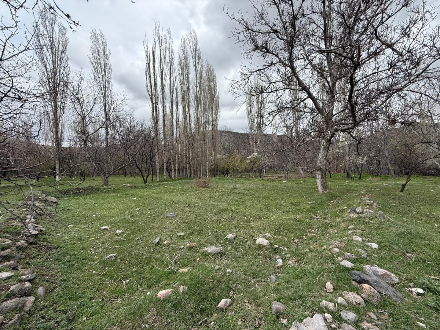 KAYSERİ DEVELİ AŞAĞIEVEREK MAHALLESİ VENK MEVKİİNDE İMARA YAKIN SATILIK BAHÇE